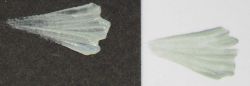 105 Green MUD Colorant